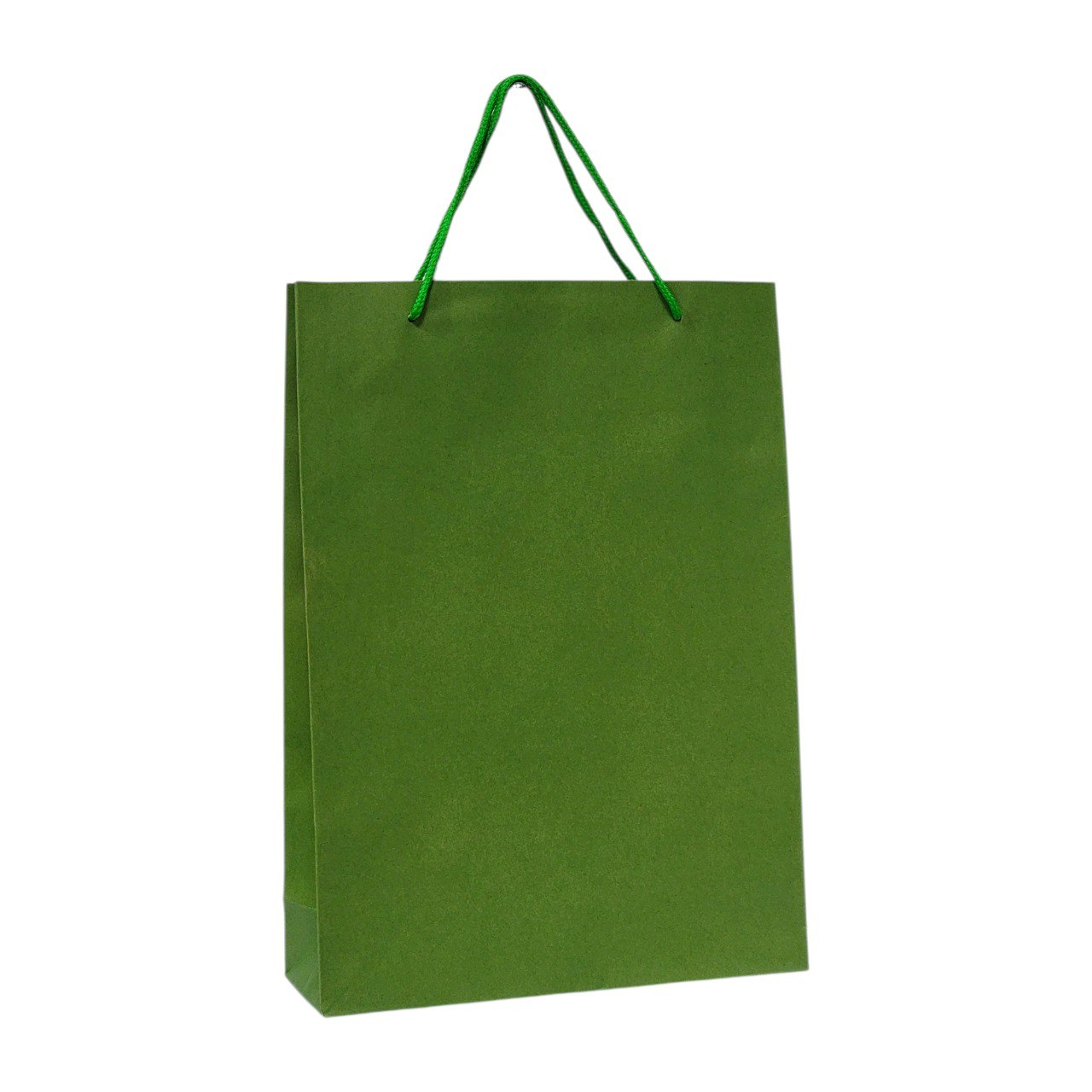 BOLSA DE REGALO MEDIANA 24X33CM