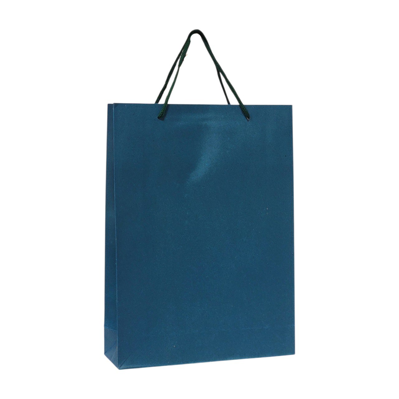 BOLSA DE REGALO MEDIANA 24X33CM