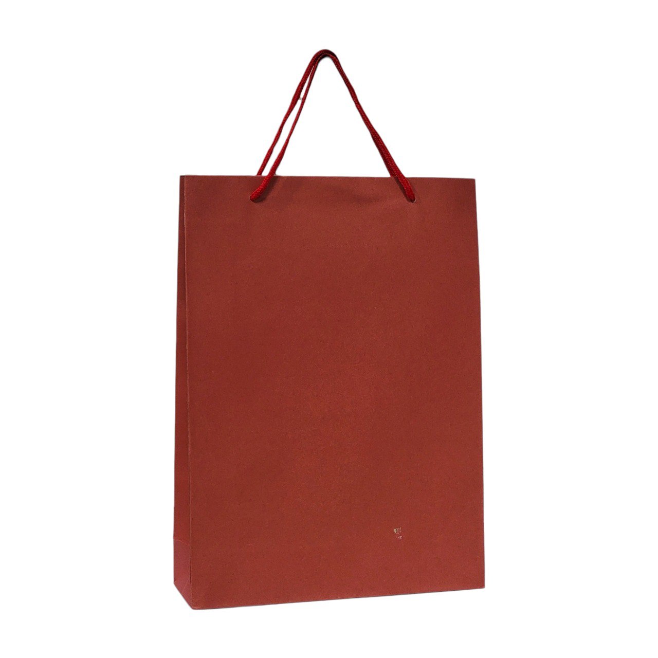 BOLSA DE REGALO MEDIANA 24X33CM