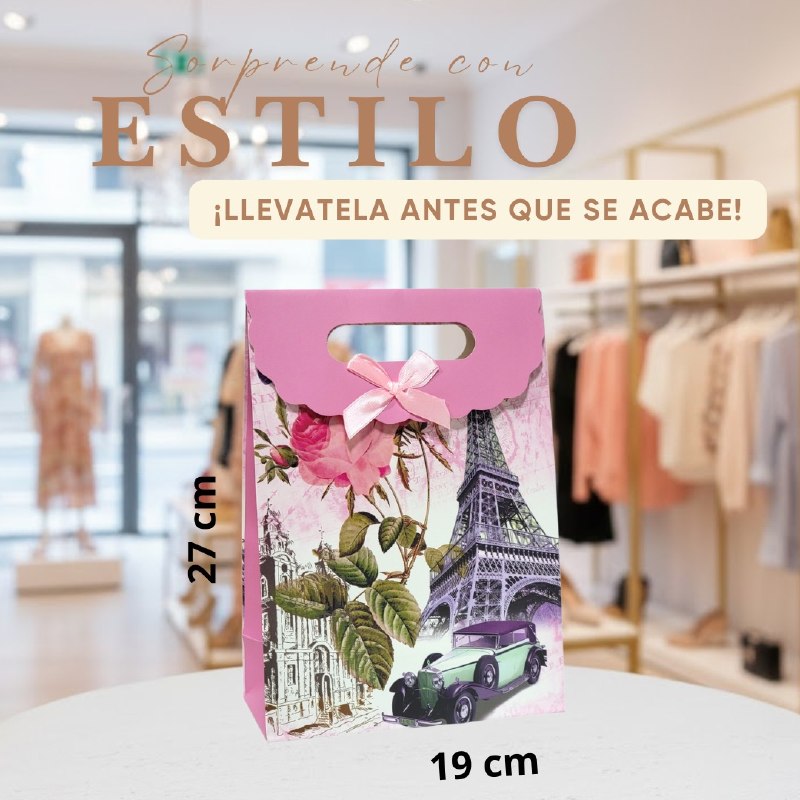 BOLSA DE REGALO MEDIANO 19X27CM