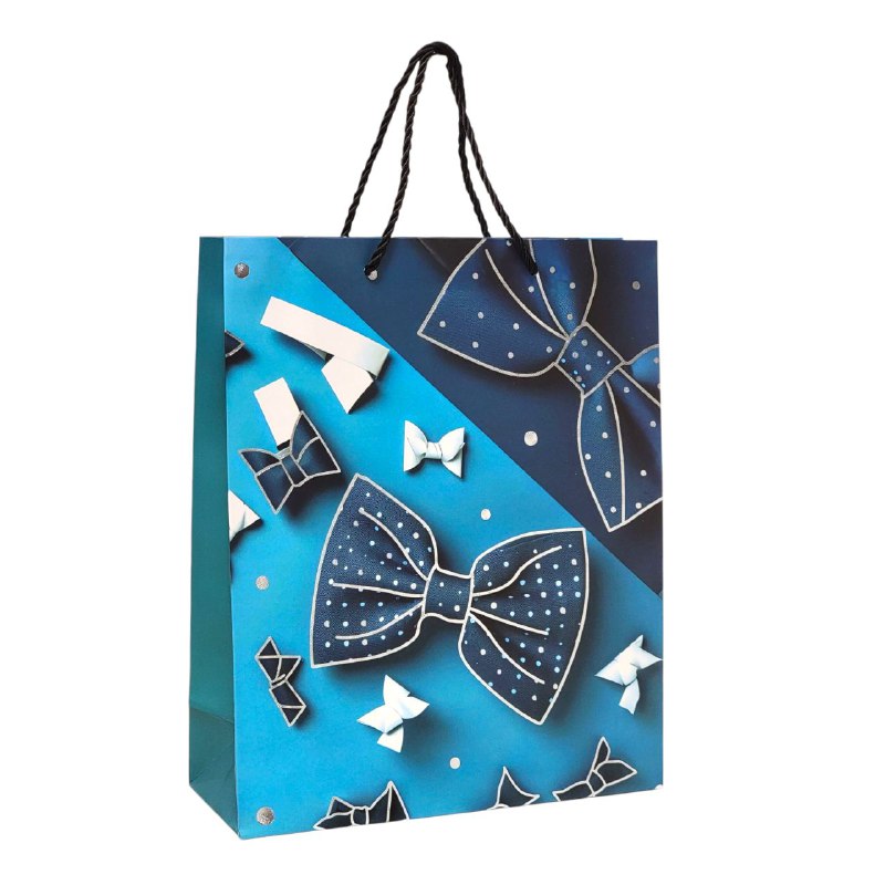 BOLSA DE REGALO PARA HOMBRE MEDIANA 26X32X10CM