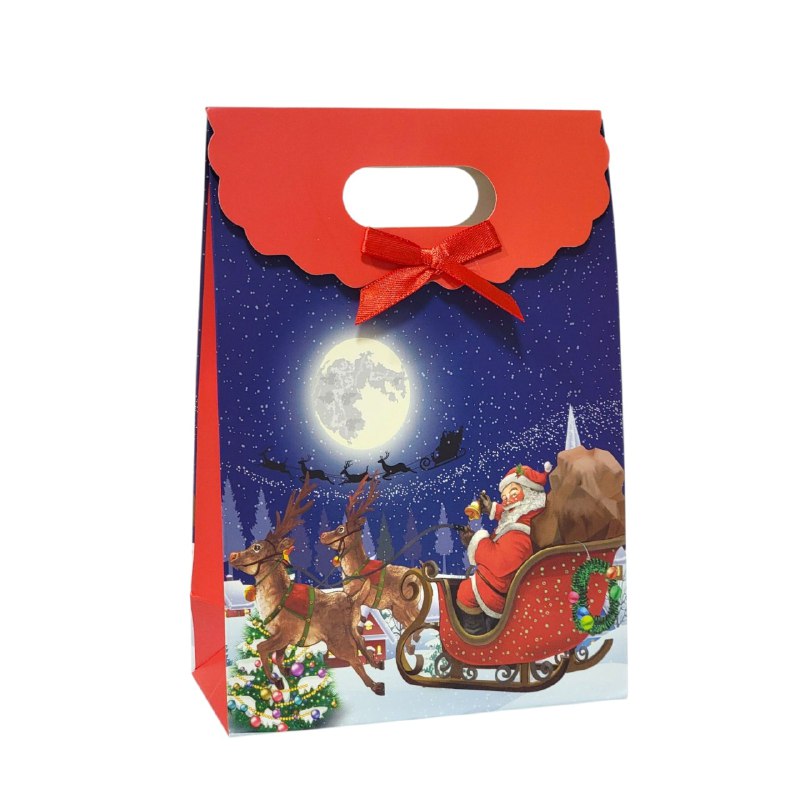 BOLSA DE REGALO NAVIDEÑA MEDIANO 14X21CM