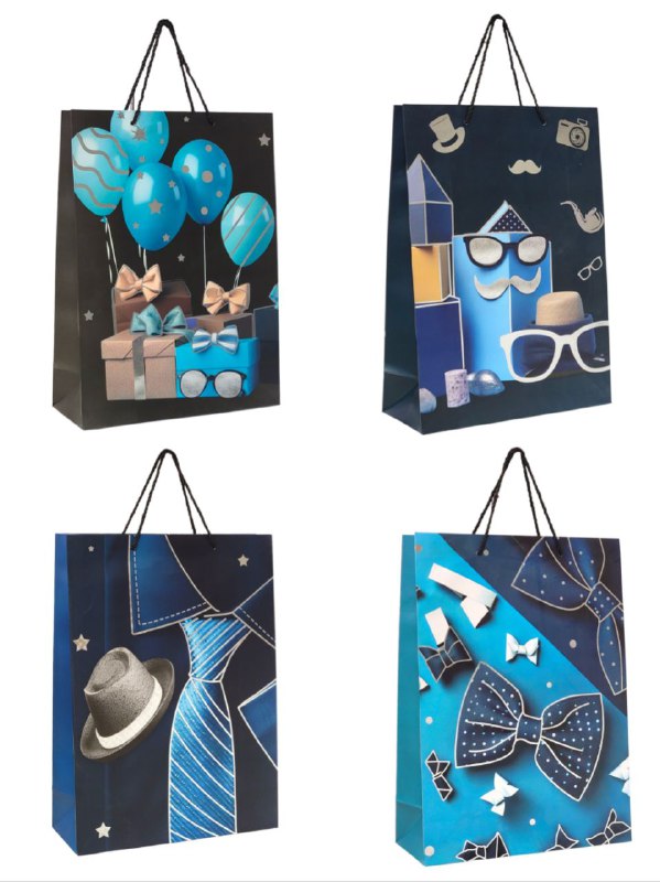 BOLSA DE REGALO PARA GRANDE 30X12X41.5CM