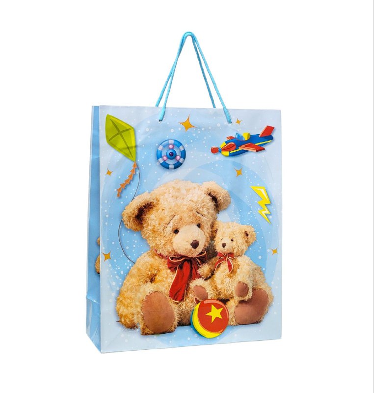 BOLSA DE REGALO MEDIANA 26X32X10CM