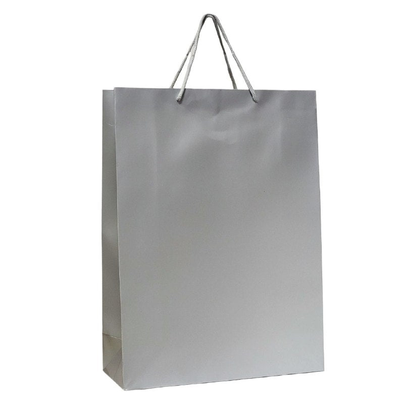 BOLSA DE REGALO DE GRANDE 30X12X41CM