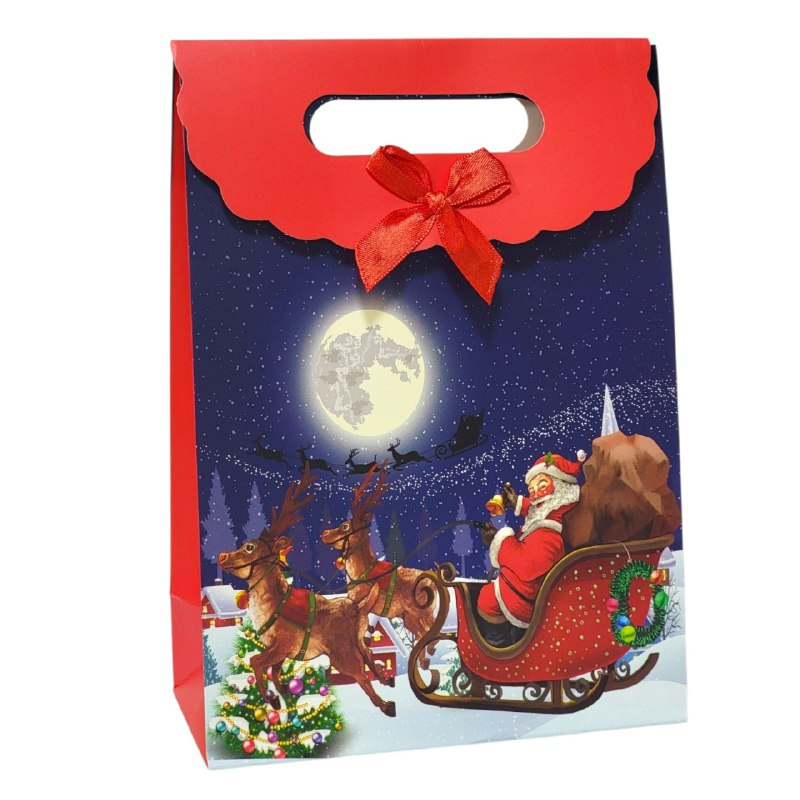 BOLSA DE REGALO NAVIDEÑA MEDIANO 27X19CM